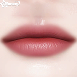 [Learxfl] Lipstick N33