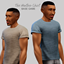 The Heather Shirt  - [Base Game] logo