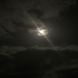 Creatures of the Night