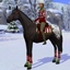 Holiday recolors for horses. logo