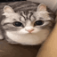 Catboom logo