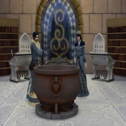 Wizards and Wands - Career Paths - translation spanish