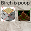 birch becomes poop logo