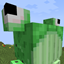 Some Frogs logo