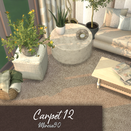 Carpet #12