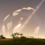 CommonElectricity4 logo