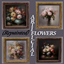 Artificial Flowers Repainted logo