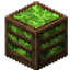 Storage Blocks logo