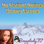 No Festival Notices (Snowy Escape) logo