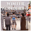Winter Wondering NPC Pack| Animated Deco Sim logo
