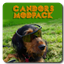 Tales of Candor logo