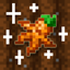 Carrot Rarity logo