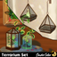 Terrariums Set logo
