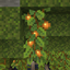 World of Lush Caves logo