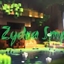 ZydraSMP logo
