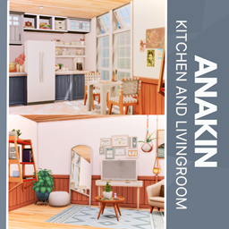 Anakin Kitchen - No CC