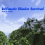 Ultimate Shader Suvival logo