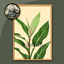 Minimalist Plant Painting #2 Sellable Extra A Samtuse963 logo