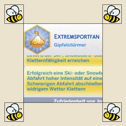Extreme Sports Enthusiast Aspiration Fix