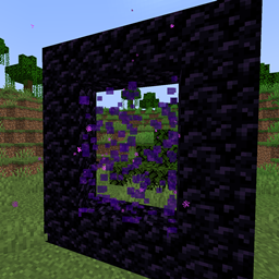 NetherWhen? project image