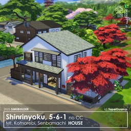 TapeiGuanas - 2025 - Shinrinyoku, 5-6-1