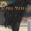 [PW] Loose Friesian Mane logo