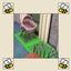 Live Draggable New Base Game Bassinet logo