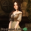 Medieval Life | Traducción Español logo