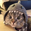 Catzycraft logo