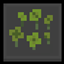 WildFlower to Clover Pack logo