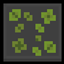 LeafLitter to Clover Patch logo