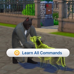 Learn All Commands (FrequentlyBasic) / translation spanish by dokimtz