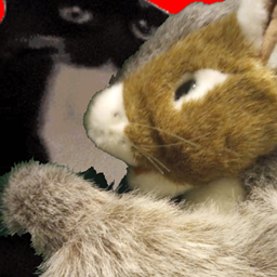 SQUIRREL logo
