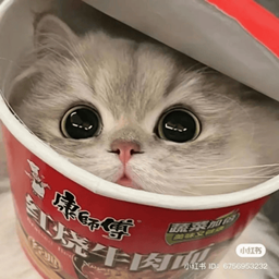 Ramen Cat project image