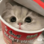 Ramen Cat logo