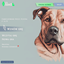 Main Menu Overrides - Cartoon dog logo