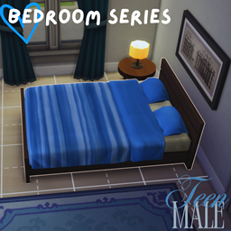 Teen male bedroom project image