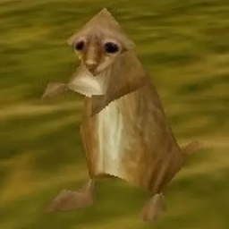 Loot the Dog
