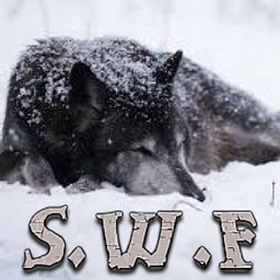 Snowy Wolf Forest project image