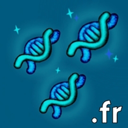 Lignées Sirénique .French translation logo