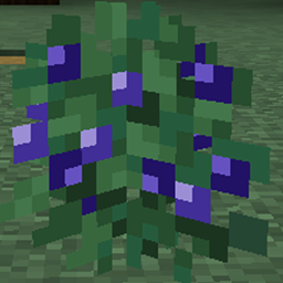 Blueberries! logo