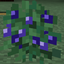 Blueberries! logo