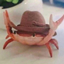 CrabboCraft logo