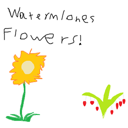 Watermlones Flowers project image