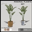 Lorena Minimal plant logo