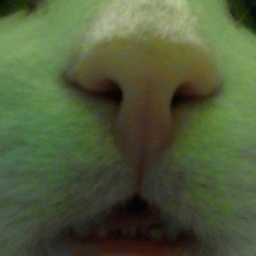 i forgor funni