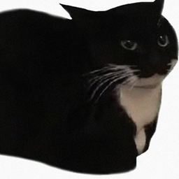 MAXWELL DA CAT project avatar