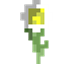 Mayflowers logo