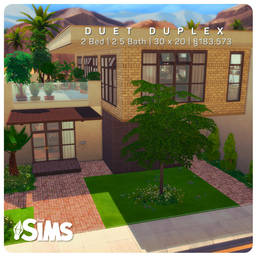 Duet Duplex project image