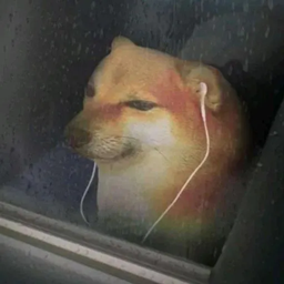 Doge's Legacy logo